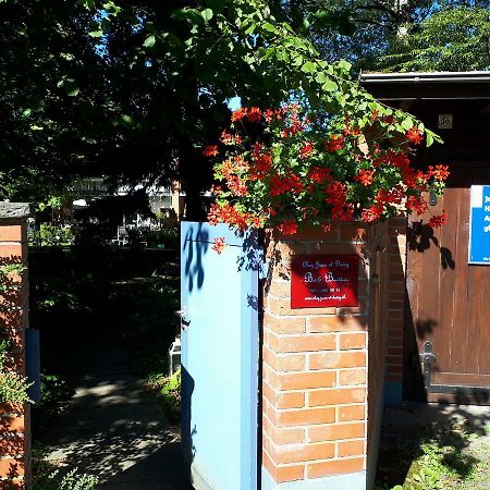 切斯珍黛丝住宿加早餐旅馆 Riehen 外观 照片