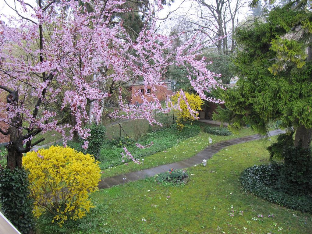 切斯珍黛丝住宿加早餐旅馆 Riehen 外观 照片